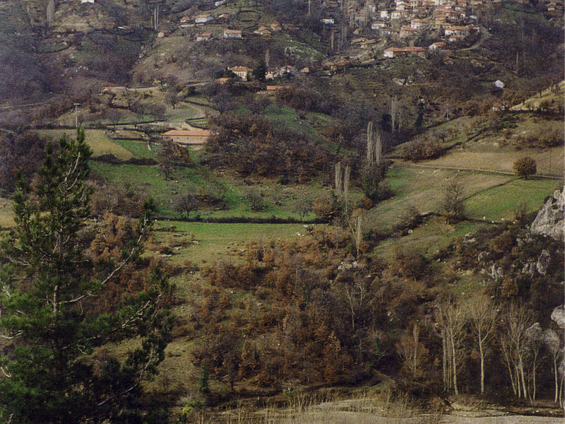 Yeşilvadi Termal ve Turistik Yatırım İşletmeciliği